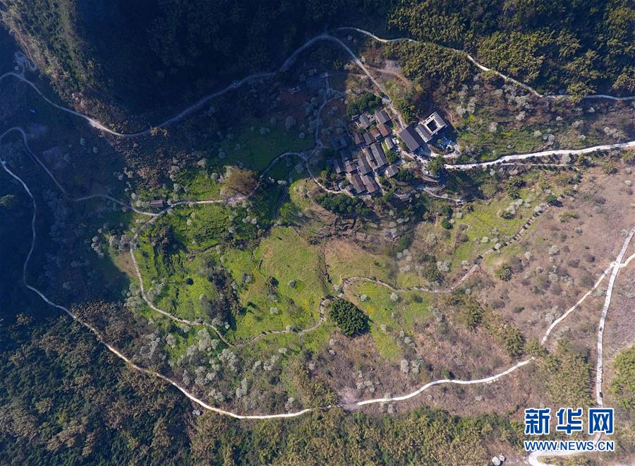 保定理工出来卖的学生(新干县),保定理工学校