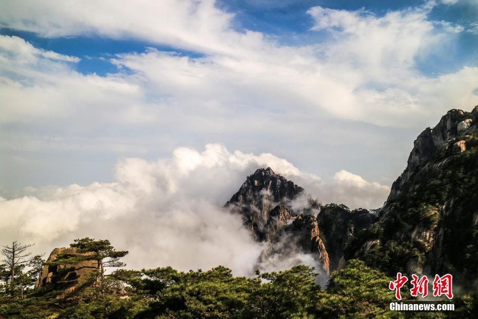 盐城小巷子玩qq快餐(宜阳县),盐城小妹电话